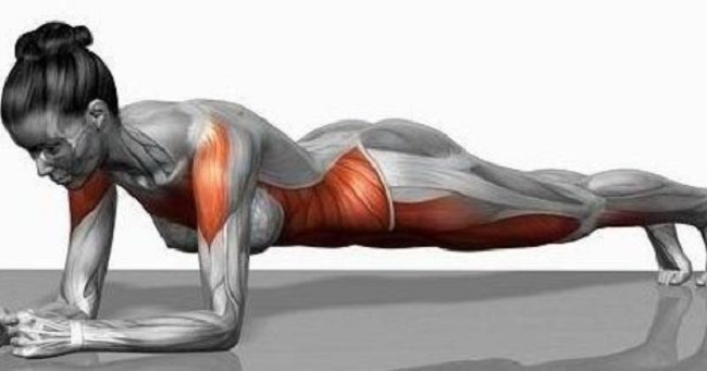 How to do the plank?